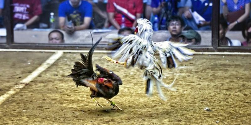 789bet ﻿đăng nhập lô đề uy tín