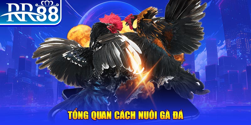 789bet xổ số thứ ba