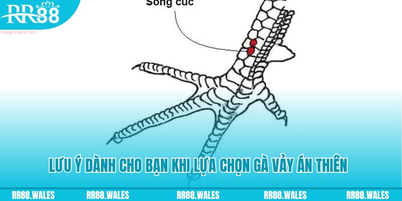 789bet xổ số khánh hòa