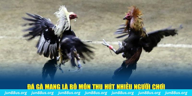 789bet xổ số long an