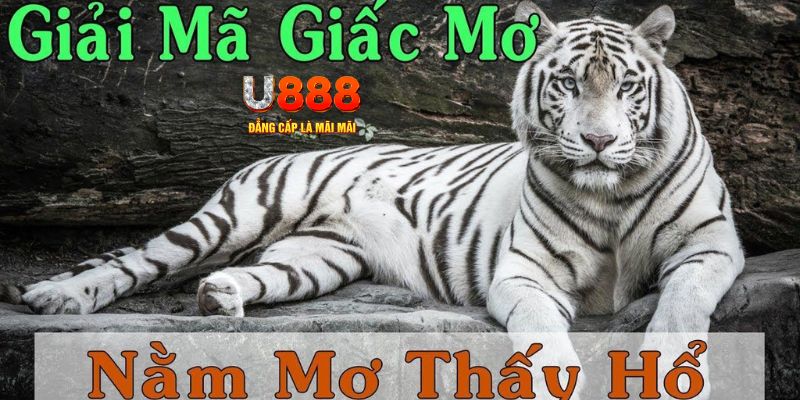 789bet Bài Poker Joker