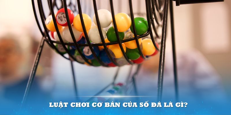 789bet Đĩa màu ace