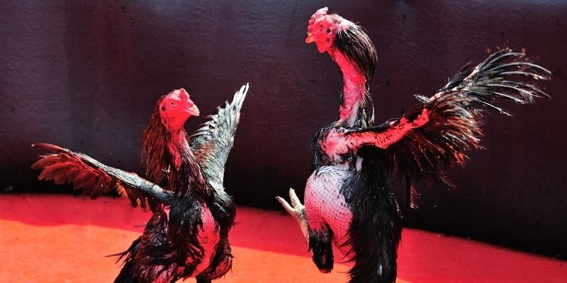 789bet bắn cá đổi thưởng
