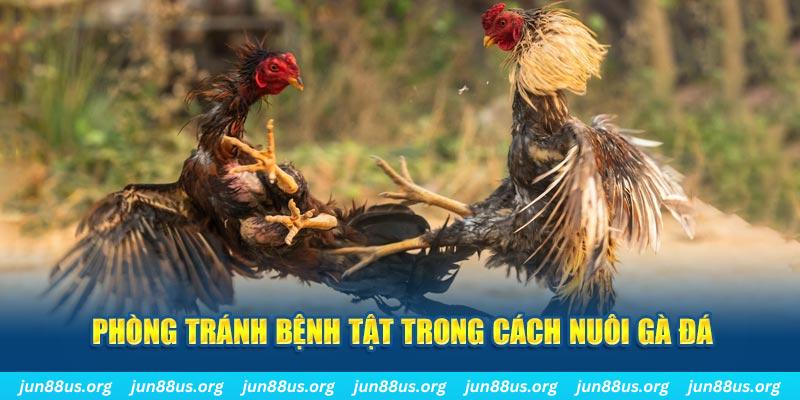 789bet natural” trong baccarat nghĩa là gì？