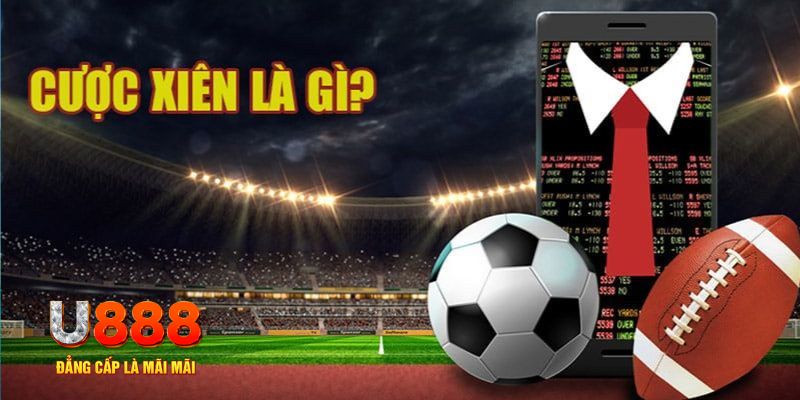 789bet đá gà thomo hôm nay
